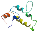 DnaJ/HSP40 Homolog Subfamily C, Member 5 Gamma (DNAJC5g)