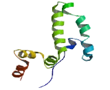 DnaJ/HSP40 Homolog Subfamily C, Member 5B (DNAJC5B)