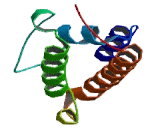 DnaJ/HSP40 Homolog Subfamily C, Member 6 (DNAJC6)