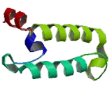 DnaJ/HSP40 Homolog Subfamily C, Member 7 (DNAJC7)