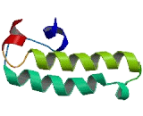 DnaJ/HSP40 Homolog Subfamily C, Member 8 (DNAJC8)