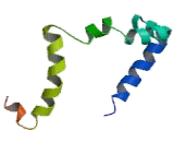 Dolichyl Phosphate Mannosyltransferase Polypeptide 2 (DPM2)