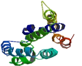 Dolichyl Phosphate-N-Acetylglucosaminephosphotransferase 1 (DPAGT1)