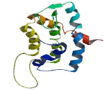 Dolichyl Pyrophosphate Phosphatase 1 (DOLPP1)