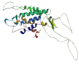 Dopamine Receptor D3 (DRD3)