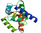 Double Homeobox Protein 3 (DUX3)