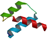 Double Homeobox Protein 4 Like Protein 2 (DUX4L2)