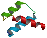 Double Homeobox Protein 4 Like Protein 4 (DUX4L4)