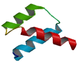 Double Homeobox Protein 4 Like Protein 7 (DUX4L7)