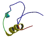 Doublesex And Mab3 Related Transcription Factor 1 (DMRT1)