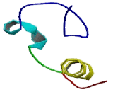 Doublesex And Mab3 Related Transcription Factor 2 (DMRT2)