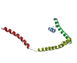 Down Regulator Of Transcription 1, TBP Binding (DR1)