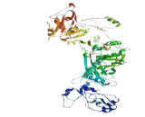 Dpy-19 Like Protein 3 (DPY19L3)