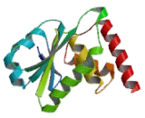 Dual Specificity Phosphatase 10 (DUSP10)