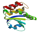 Dual Specificity Phosphatase 12 (DUSP12)