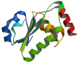 Dual Specificity Phosphatase 19 (DUSP19)