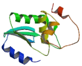 Dual Specificity Phosphatase 2 (DUSP2)