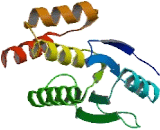 Dual Specificity Phosphatase 23 (DUSP23)