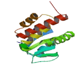 Dual Specificity Phosphatase 28 (DUSP28)