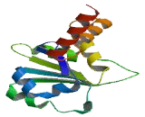 Dual Specificity Phosphatase And Pro-Isomerase Domain Containing Protein 1 (DUPD1)