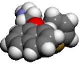 Duloxetine (DLX)