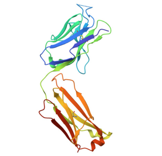 Dupilumab (DPL)