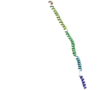 Dynactin 2 (DCTN2)