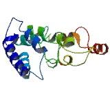 Dynactin 3 (DCTN3)