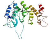 Dynactin 4 (DCTN4)