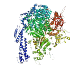 Dynein, Axonemal, Heavy Chain 12 (DNAH12)