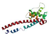 Dynein, Axonemal, Heavy Chain 3 (DNAH3)