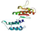 Dynein, Axonemal, Heavy Chain 7 (DNAH7)