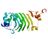 Dynein, Axonemal, Light Chain 1 (DNAL1)