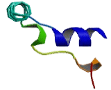 Dynein, Cytoplasmic 1, Intermediate Chain 2 (DYNC1I2)