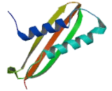 Dynein, Light Chain, Tctex Type 1 (DYNLT1)