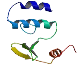 Elongator Complex Protein 1 (ELP1)