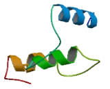 Dysbindin Domain Containing Protein 2 (DBNDD2)