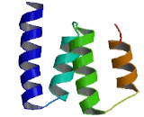 Dyslexia Susceptibility 1 Candidate 1 (DYX1C1)