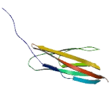 Dyslexia Susceptibility Protein 2 (DYLX2)