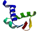 E2F Transcription Factor 6 (E2F6)