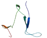 E2F Transcription Factor 7 (E2F7)