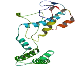 EBNA1 Binding Protein 2 (EBNA1BP2)