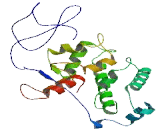 EF-Hand Calcium Binding Domain Protein 2 (EFCAB2)