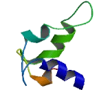 EF-Hand Calcium Binding Domain Protein 4A (EFCAB4A)