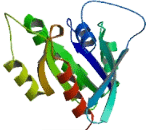 EF-Hand Calcium Binding Domain Protein 4B (EFCAB4B)