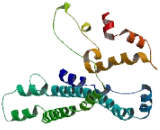 EF-Hand Calcium Binding Domain Protein 5 (EFCAB5)