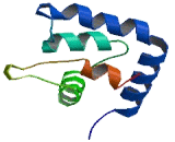 EF-Hand Calcium Binding Domain Protein 6 (EFCAB6)