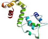 EF-Hand Calcium Binding Domain Protein 7 (EFCAB7)