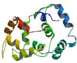 EF-Hand Calcium Binding Domain Protein 9 (EFCAB9)