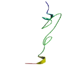 EGF Like Domain Protein, Multiple 8 (EGFL8)